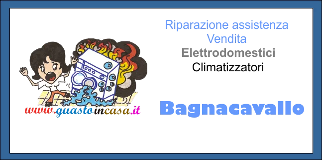 Logo assistenza elettrodomentici Lama snc a Bagnacavallo